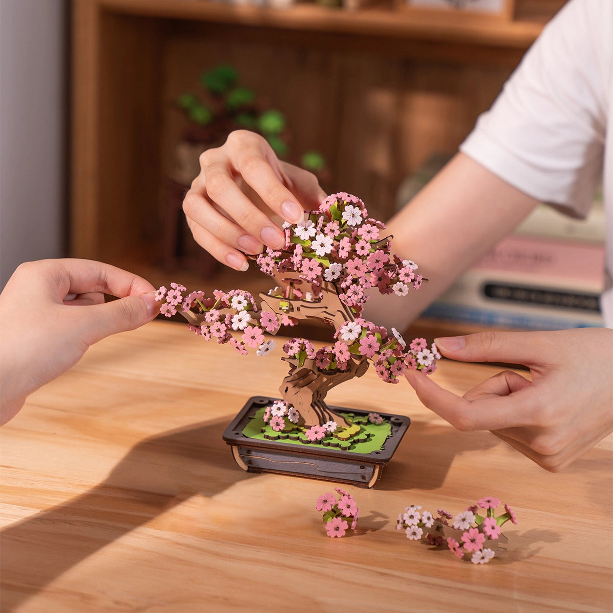 Rolife Sakura Bonsai 3D Wooden Puzzle Creation Model kit TG415 assembly