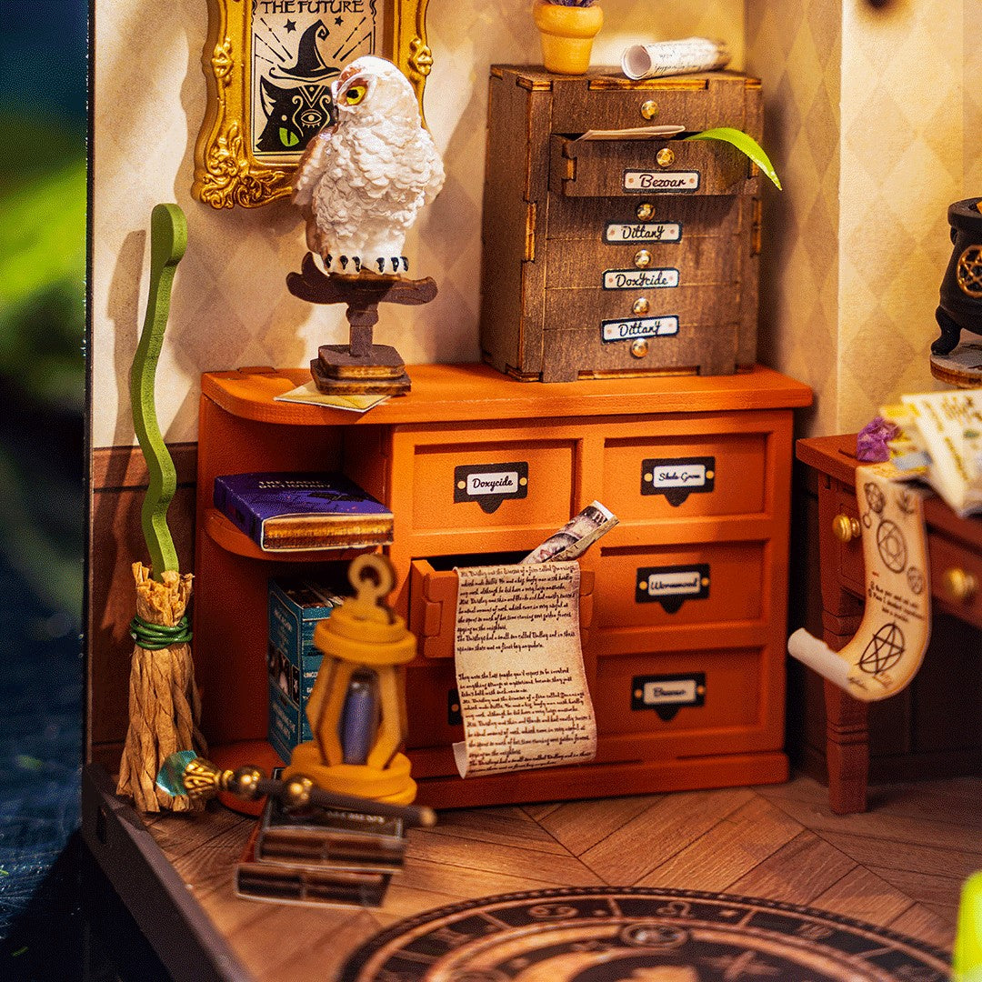 Rolife The Magic Study DIY Miniature house model kit DG166 owl and broom