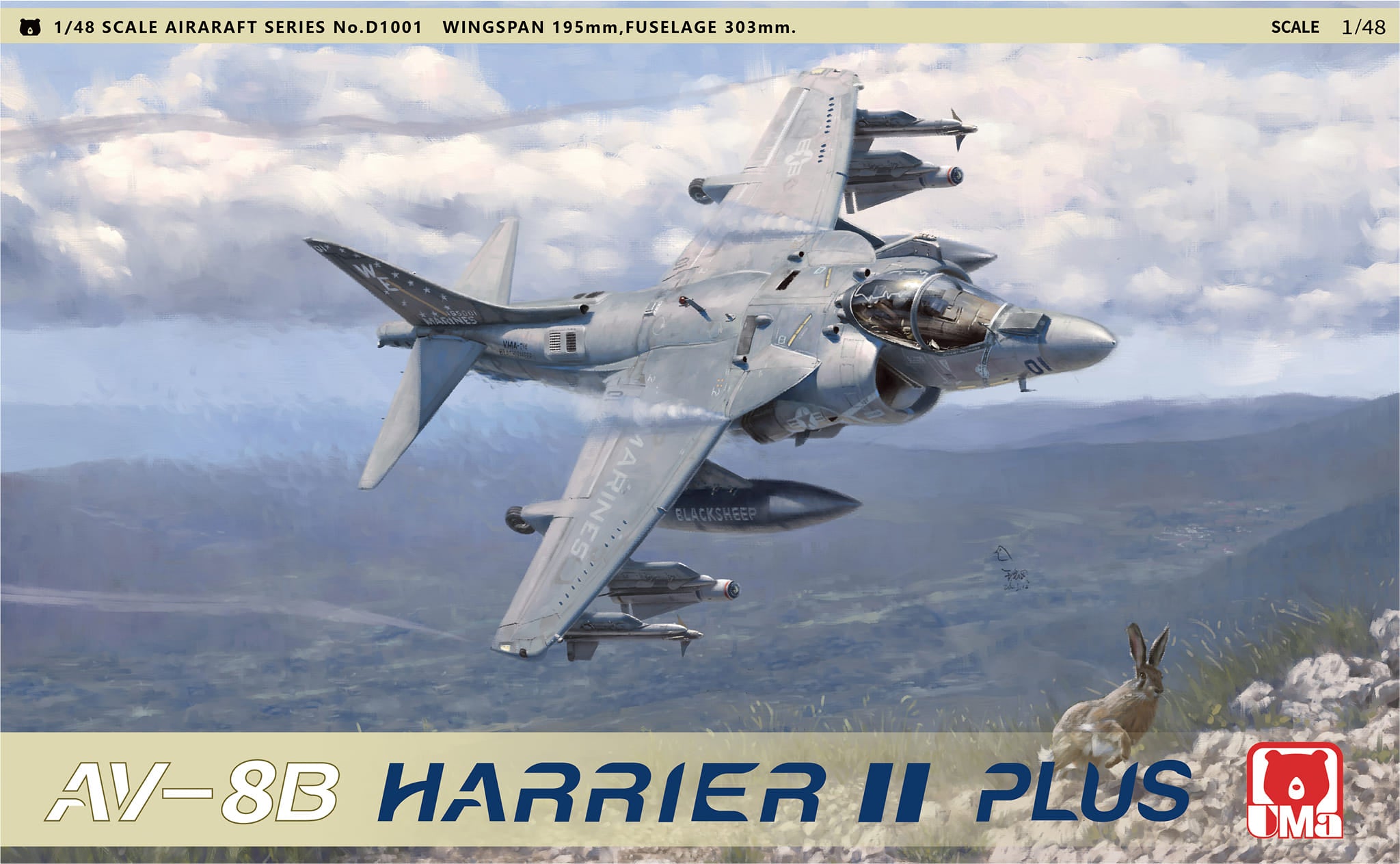 UMa Models 1/48 scale AV-8B Harrier model box art