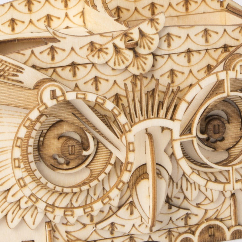 Rolife Owl Storage Box Wooden Model Kit TG405 close up